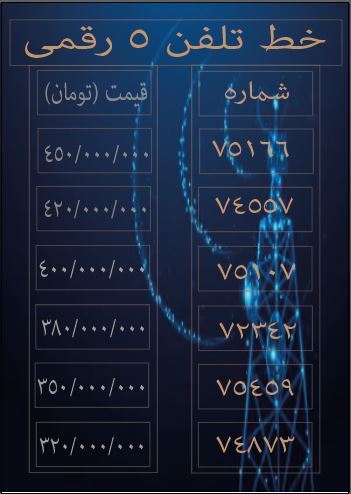 خط تلفن 5 رقمی